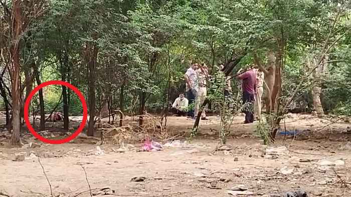 फरीदाबाद में युवक का शव पेड़ से लटका मिला, बेरोजगारी से था परेशान The body of a young man was found hanging from a tree in Faridabad; he was troubled by unemployment.