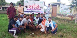 700 plants planted under Sushant Singh Rajput's dream - Jaswant Pawar