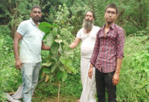 People, large plants planted in the Aravalli mountain range by the Sanse campaign