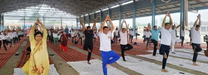 Yoga is necessary to make life healthy and happy Rajesh Nagar